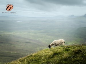 2025-08-24 13.47.31-2