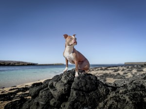 Photo 03-04-2025, 13 11 59 (2)