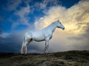 Photo 07-01-2025, 15 05 33