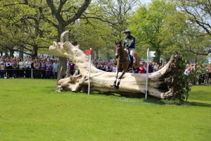 d6029106-301d-4f1f-ac00-b597dffa4a85_rw_3840